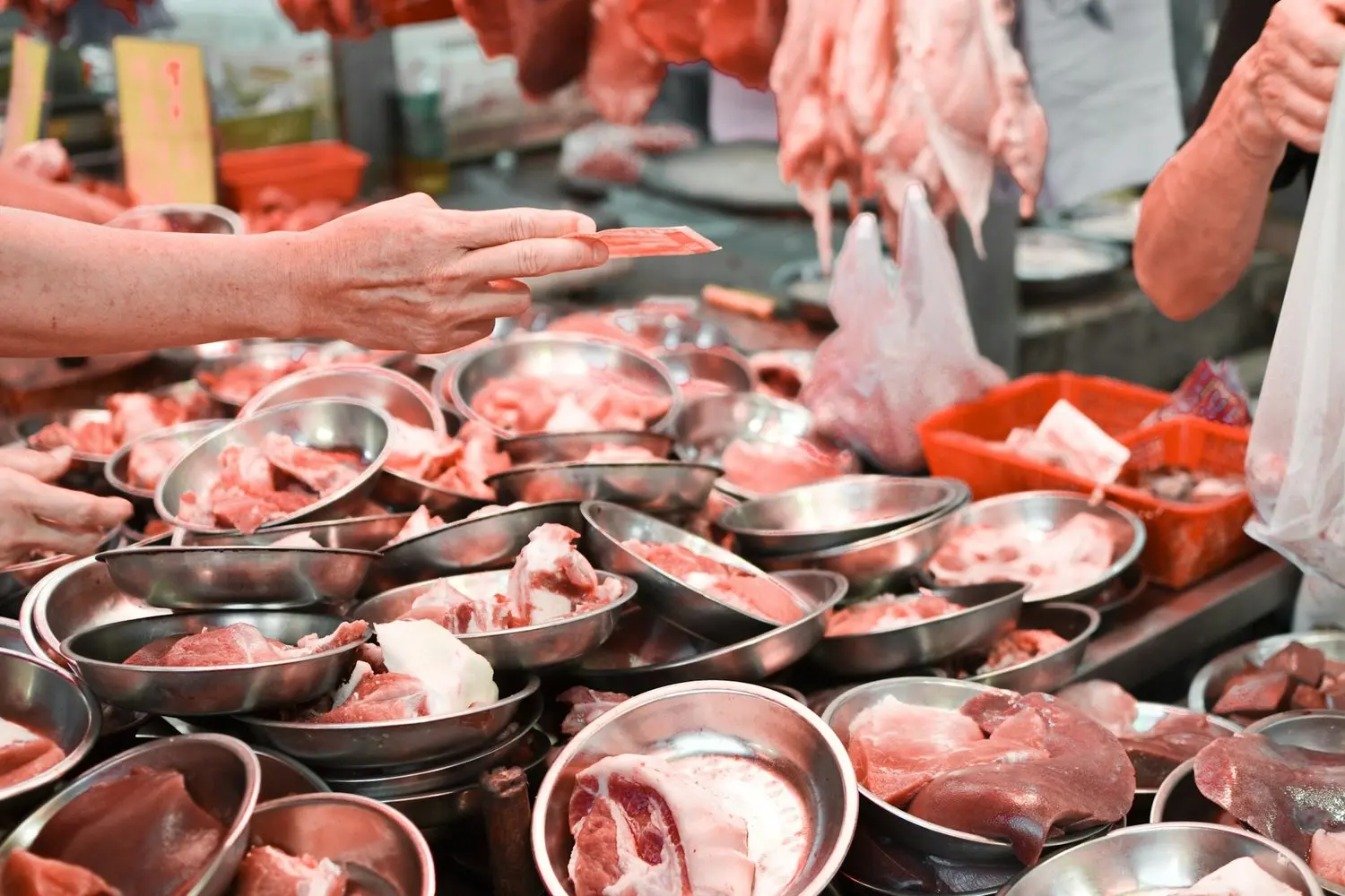 Selección cuidadosa de corazones de pollo frescos
